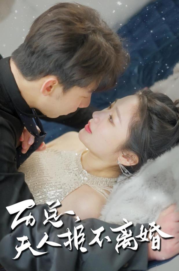 歷總，夫人拒不離婚(全集)