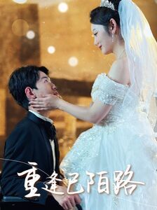 重逢已陌路 林千金她裝不下去了 她如月光碎向星夜(全集)