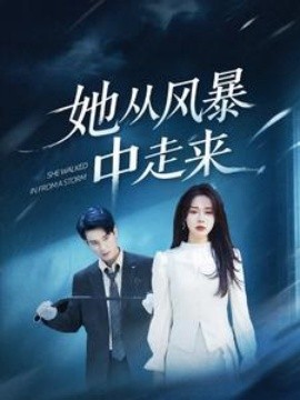 她從風暴中走來(全集)