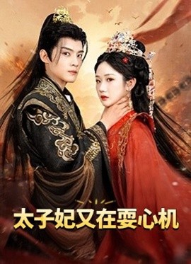 太子妃又在耍心機 人家才不是壞女人(全集)