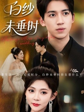 老婆婚禮我當(dāng)證婚人 白紗未垂時(shí)(全集)